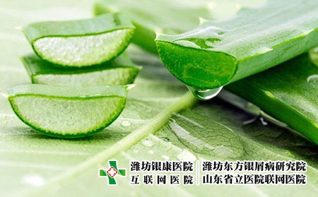 2 (134)蘆薈 2 (134)蘆薈