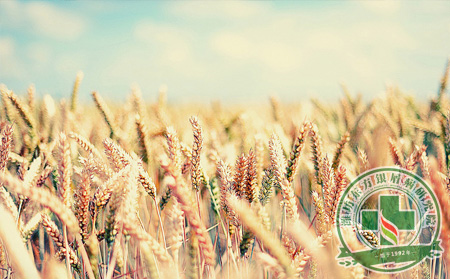 膿皰型銀屑病患者預(yù)防飲食上需要注意些什么