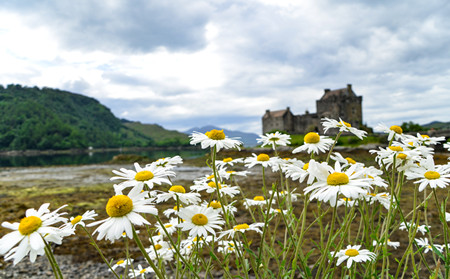 過敏加重銀屑病,濰坊治療銀屑病醫院