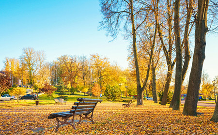 濰坊銀屑病醫(yī)院哪個(gè)治的好銀屑病保健