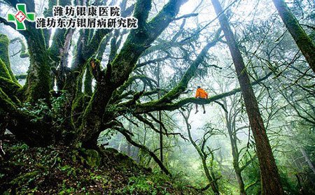 濰坊銀屑病醫院提醒您性格影響銀屑病的發生